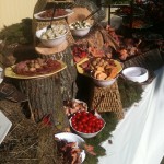 Blue Elephant Events and Catering at Laudholm Farm, Wells, Maine