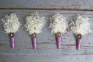 Babys-Breath-Dried-Bout