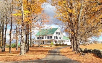 Maple Rock Farm