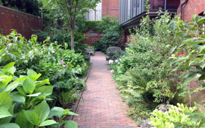 The Longfellow House Garden